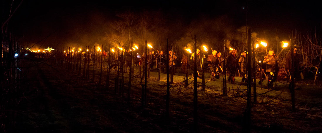 Wassailing the Orchard 2025 - Saturday 18th January